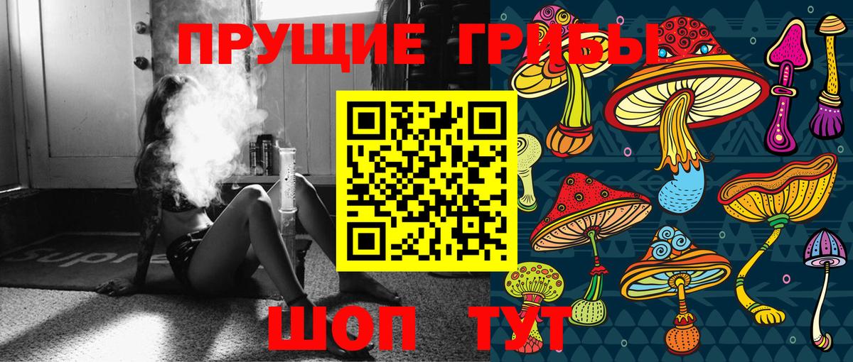 Владикавказ  Псилоцибиновые грибы мухоморы  Псилоцибиновые грибы мухоморы  Вход с VPN 